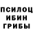 Псилоцибиновые грибы Cubensis Darklucky91
