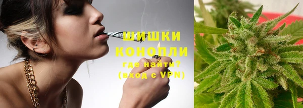 дживик Касимов