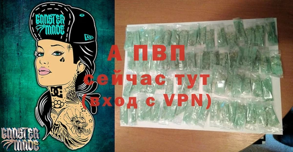 спиды Каменногорск