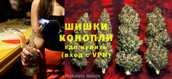 PSILOCYBIN Карталы