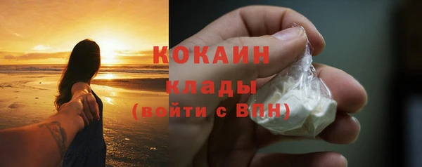 PSILOCYBIN Карталы
