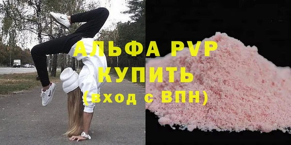 PSILOCYBIN Карталы