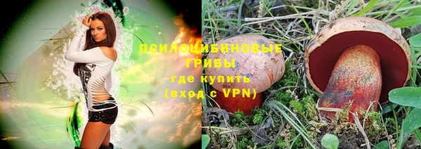дживик Касимов