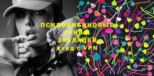 PSILOCYBIN Карталы