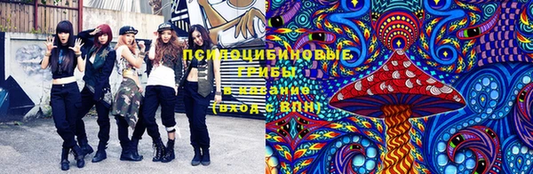 PSILOCYBIN Карталы